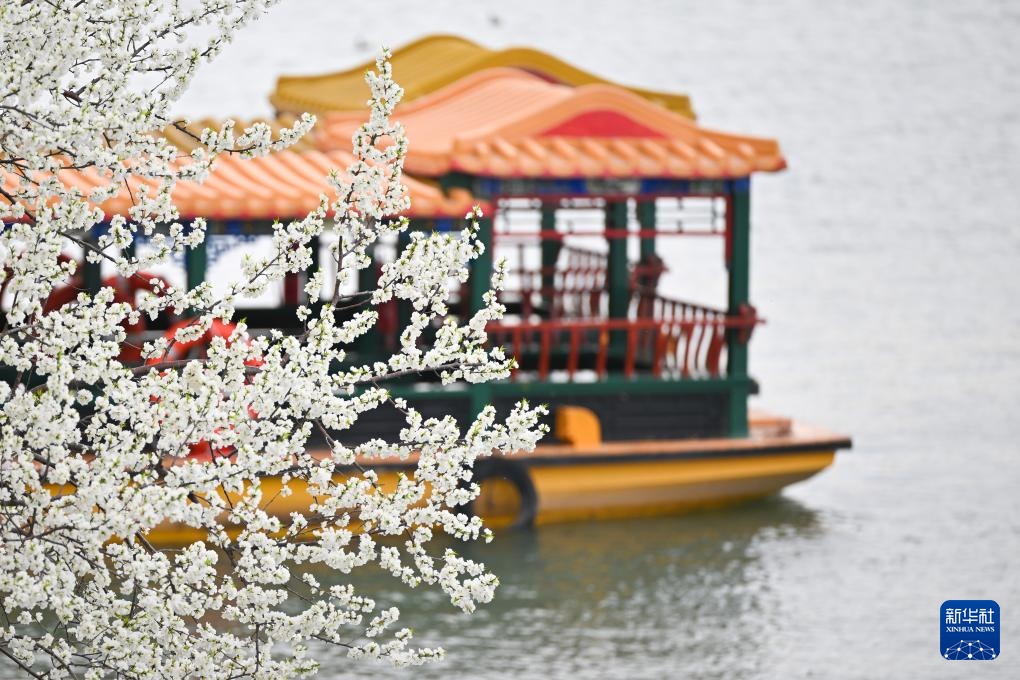 Du xuân tại Di Hòa Viên