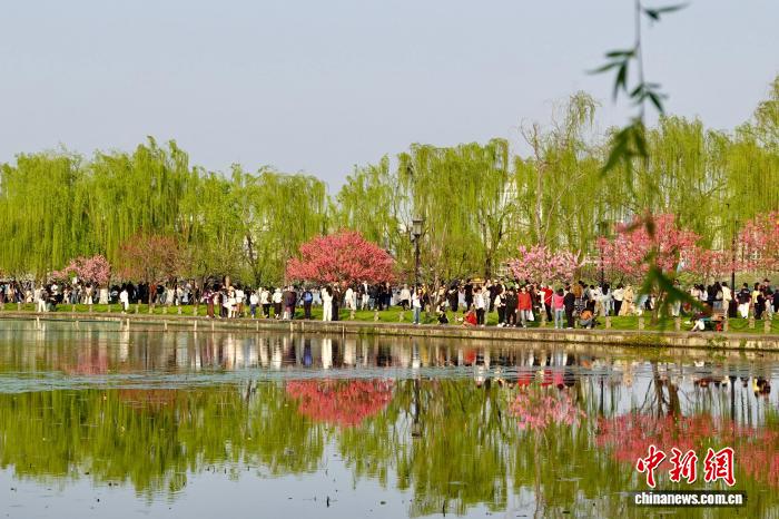 Hàng Châu, Chiết Giang: Sắc xuân rực rỡ tại Tây Hồ
