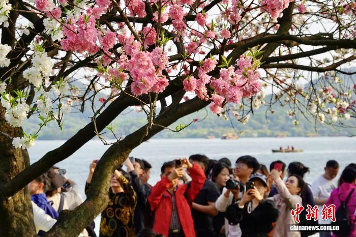Hàng Châu, Chiết Giang: Sắc xuân rực rỡ tại Tây Hồ