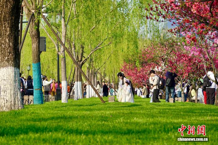 Hàng Châu, Chiết Giang: Sắc xuân rực rỡ tại Tây Hồ