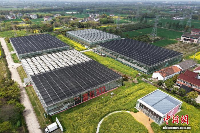 Đồng Hưng: Sản xuất thông minh trong “nông trại tương lai”