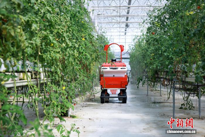 Đồng Hưng: Sản xuất thông minh trong “nông trại tương lai”