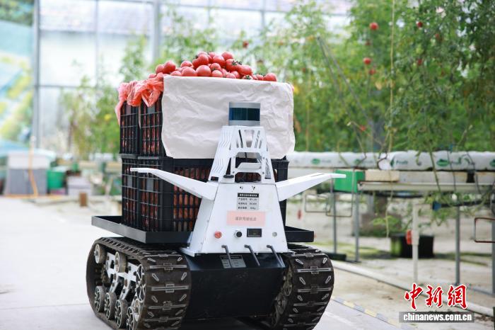 Đồng Hưng: Sản xuất thông minh trong “nông trại tương lai”