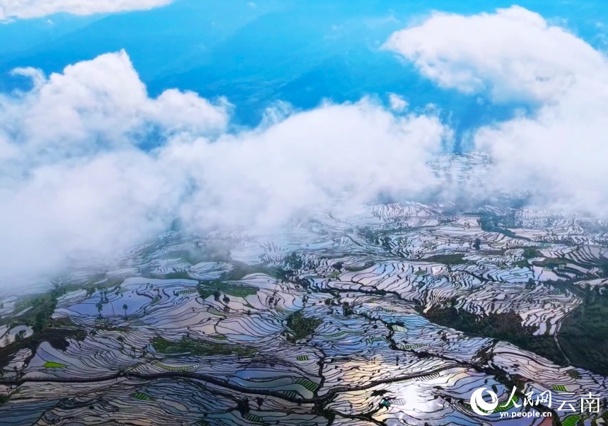 Tất bật vụ xuân trên ngàn mẫu ruộng bậc thang Vân Nam