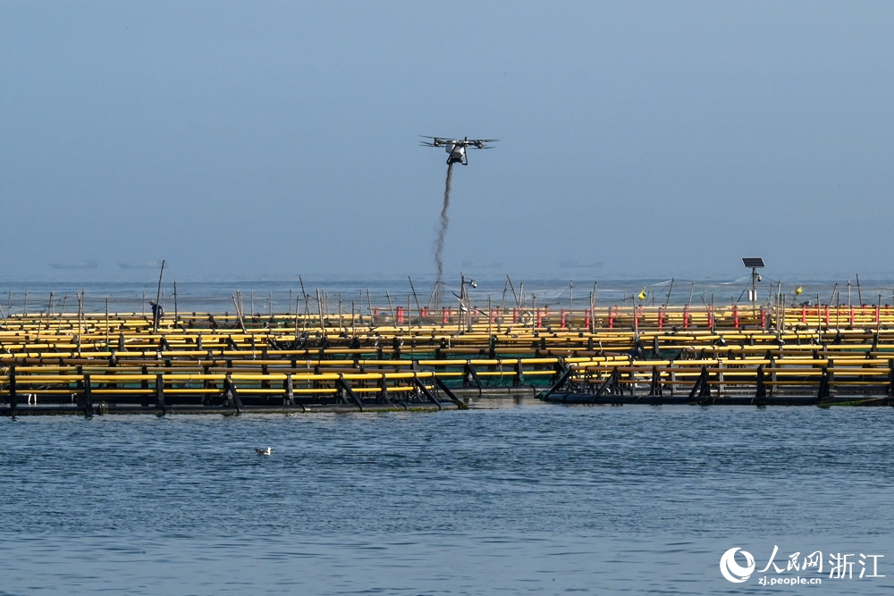 Ôn Châu: Máy bay không người lái “ship đồ ăn” cho cá ngoài khơi