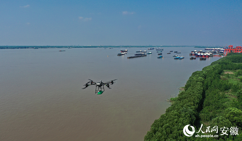 Máy bay không người lái thực hiện giao hàng. Ảnh: Trương Tuấn - Phóng viên Nhân Dân nhật báo điện tử