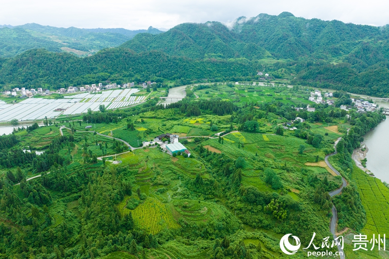 Hành trình Trung Quốc - Hương trà từ núi Phạm Tịnh (Quý Châu) lan tỏa qua những sản phẩm matcha sáng tạo