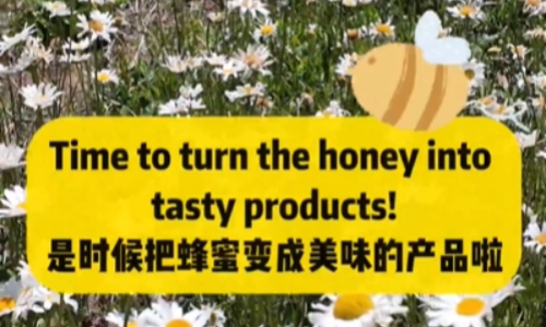 Cô gái Nga trải nghiệm nghề nuôi ong trên cao nguyên Tây Tạng