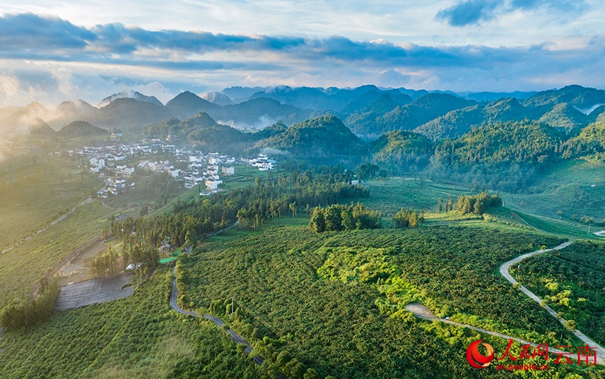 Vân Nam: Núi đá khô cằn hóa hàng nghìn mẫu kiwi xanh tươi