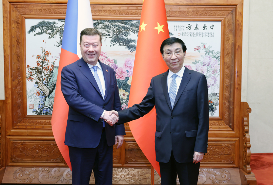 Chủ tịch Chính Hiệp Trung Quốc Vương Hộ Ninh tiếp Chủ tịch Hạ viện Séc Tomio Okamura