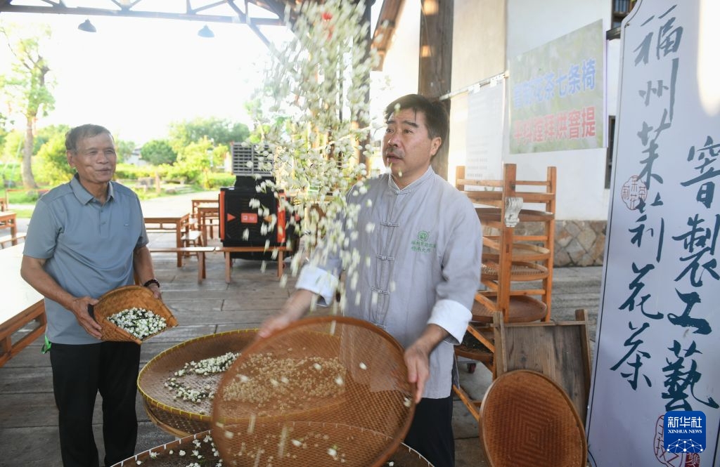 Phúc Châu: Di sản trà hoa thúc đẩy phát triển du lịch văn hóa