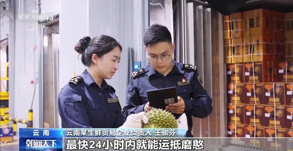 Trung Quốc: Tuyến đường sắt Trung – Lào giúp Vân Nam dẫn đầu cả nước về nhập khẩu sầu riêng tươi