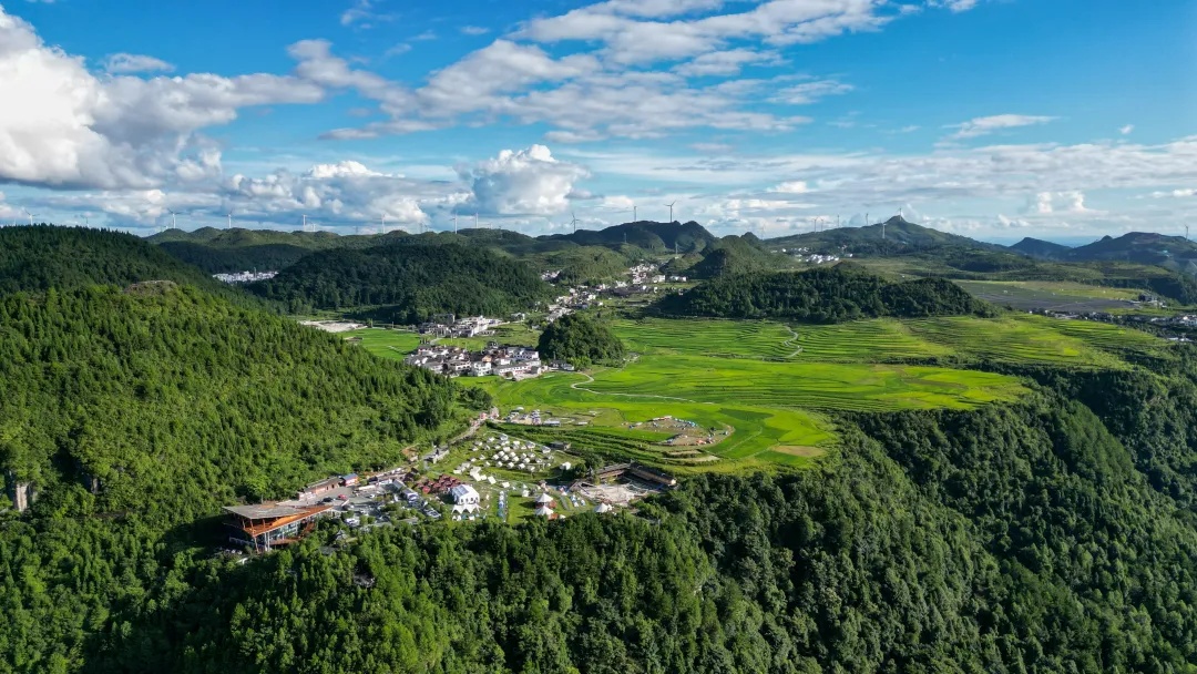 Một ngày ba ly, thưởng trọn hương vị Quý Dương