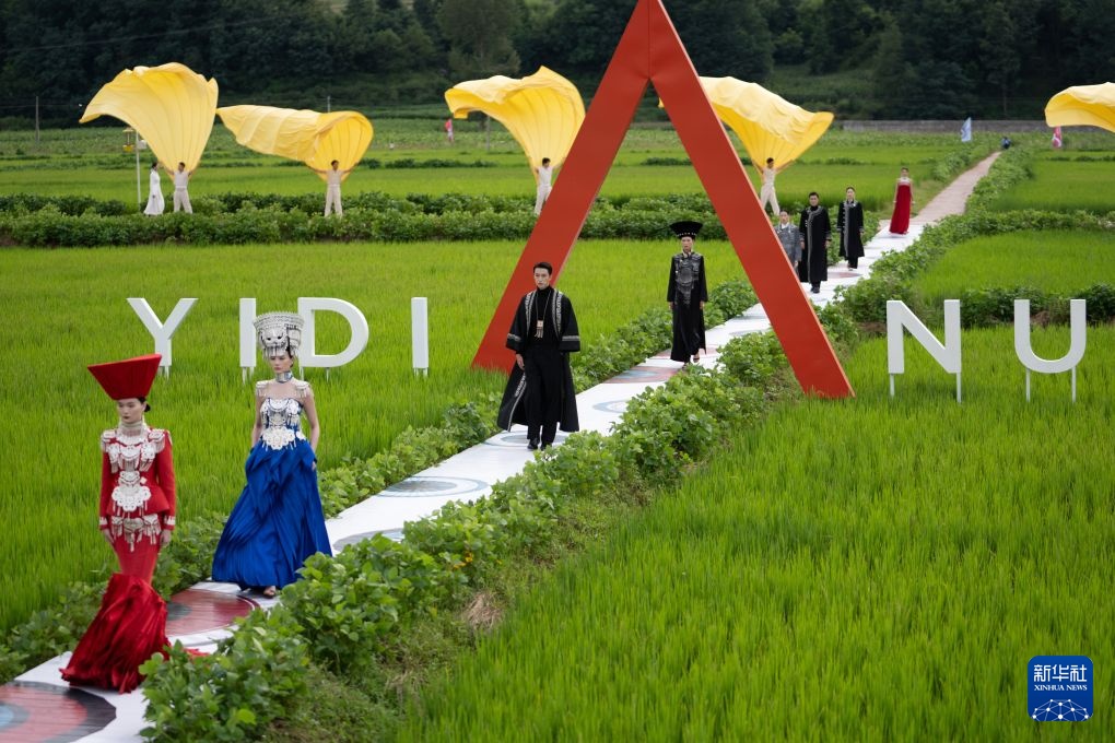 Tứ Xuyên: Khi đồng lúa trở thành sàn catwalk!