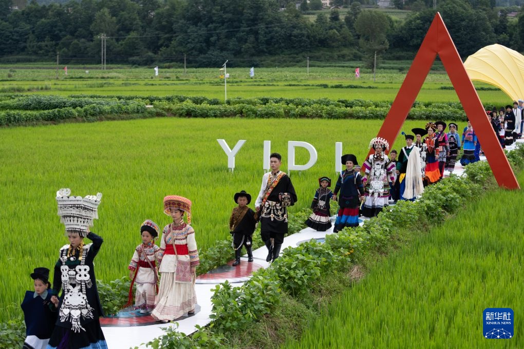 Tứ Xuyên: Khi đồng lúa trở thành sàn catwalk!