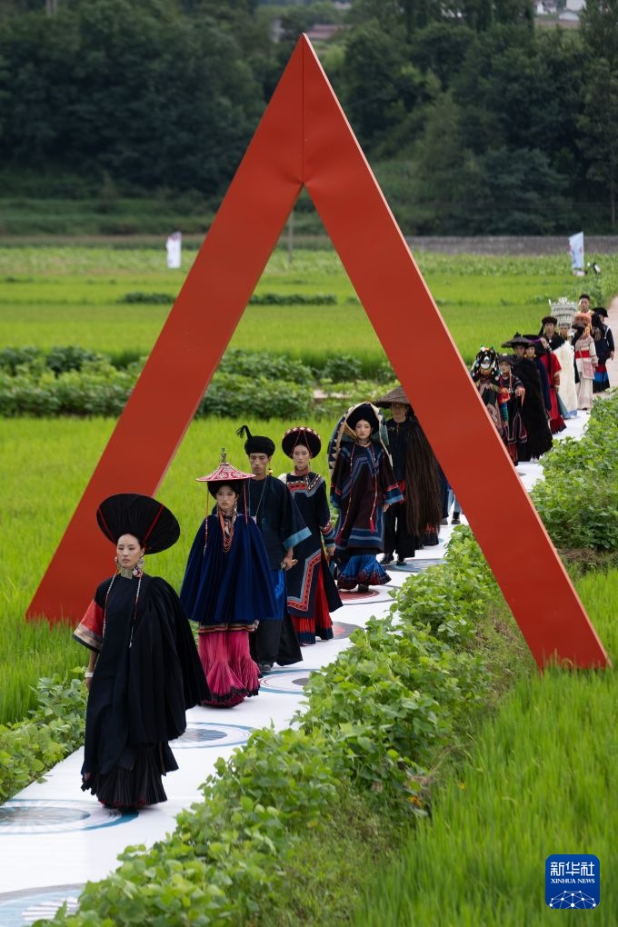 Tứ Xuyên: Khi đồng lúa trở thành sàn catwalk!