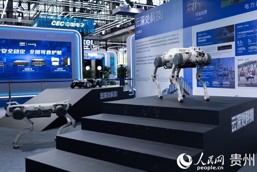 Khai mạc Hội chợ Triển lãm công nghiệp dữ liệu lớn quốc tế Trung Quốc 2025