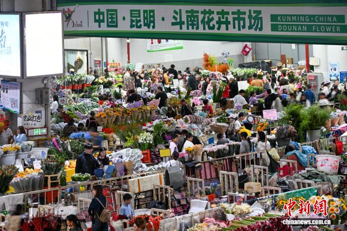 Chợ hoa Đấu Nam tại Côn Minh đông đúc trong kỳ nghỉ Quốc khánh