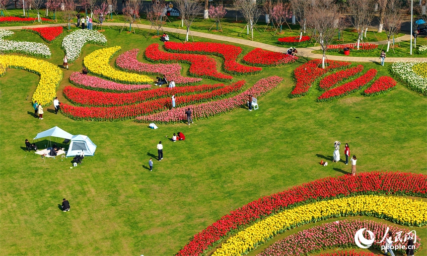 Giang Tây: Hoa xuân nở rộ đón khách tham quan