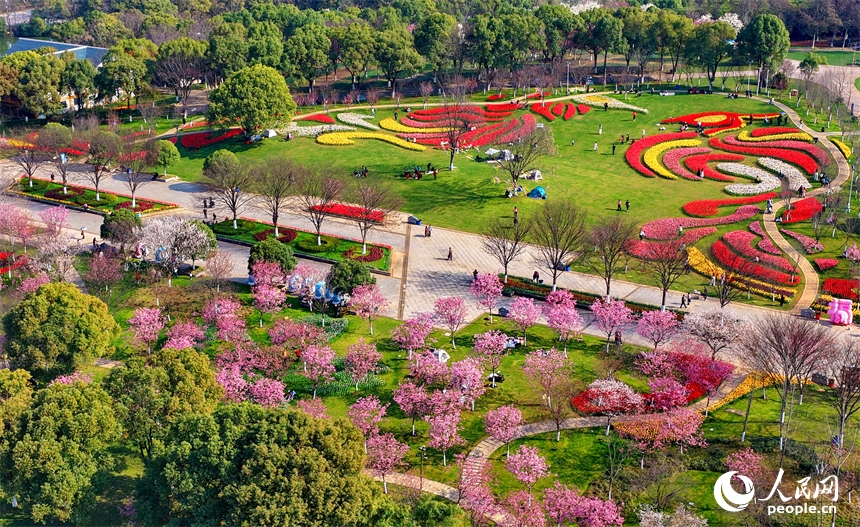Giang Tây: Hoa xuân nở rộ đón khách tham quan