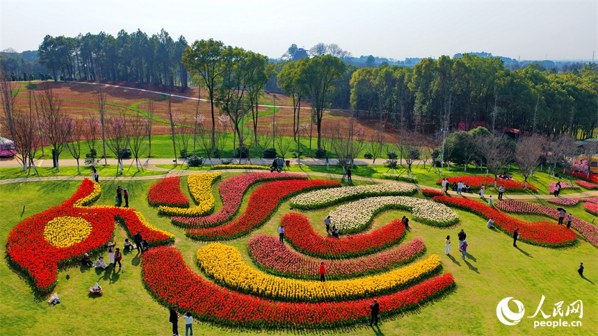 Giang Tây: Hoa xuân nở rộ đón khách tham quan