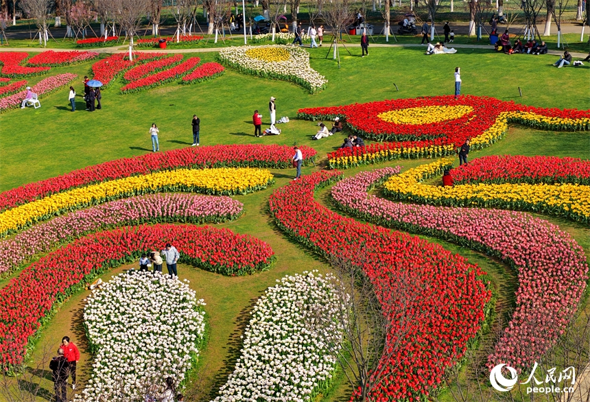 Giang Tây: Hoa xuân nở rộ đón khách tham quan