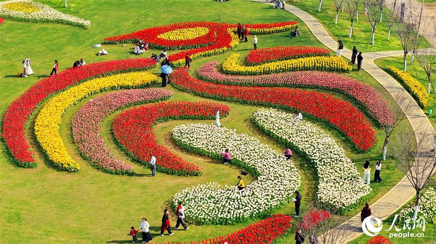 Giang Tây: Hoa xuân nở rộ đón khách tham quan