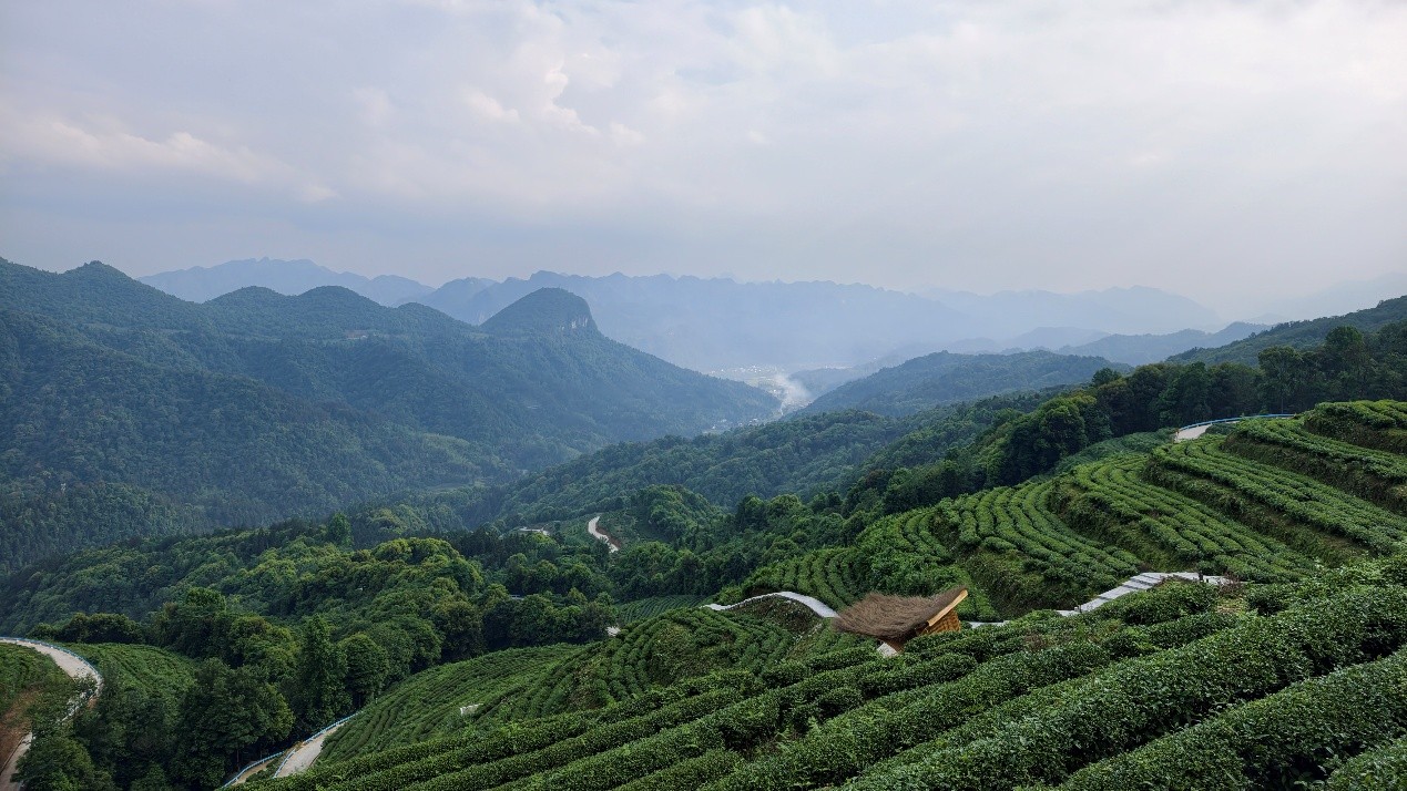 Câu chuyện thành phố - Matcha Đồng Nhân chinh phục năm châu