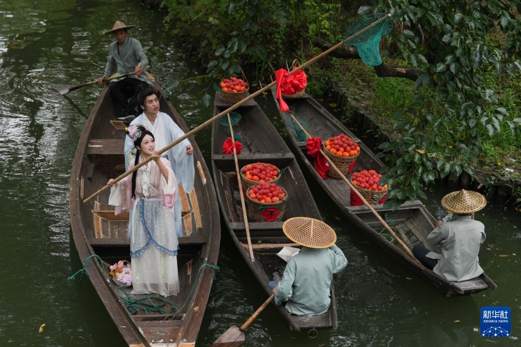 Hàng Châu: Cảm nhận mùa thu Tây Khê trong từng trái hồng đỏ mọng