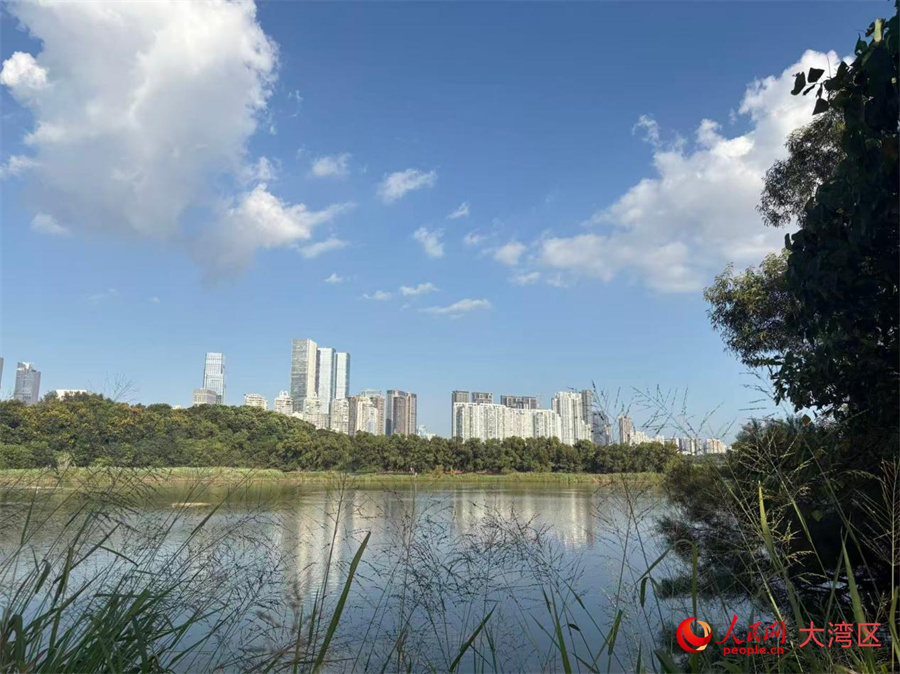 Đến Thâm Quyến – Khám phá tương lai: Thâm Quyến nỗ lực hướng tới mục tiêu không phát thải