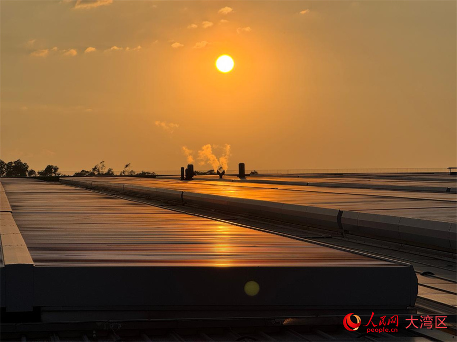 Đến Thâm Quyến – Khám phá tương lai: Thâm Quyến nỗ lực hướng tới mục tiêu không phát thải